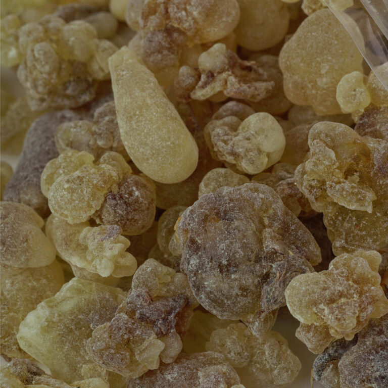 ⁦A+لبان للبخور⁩ - الصورة ⁦4⁩