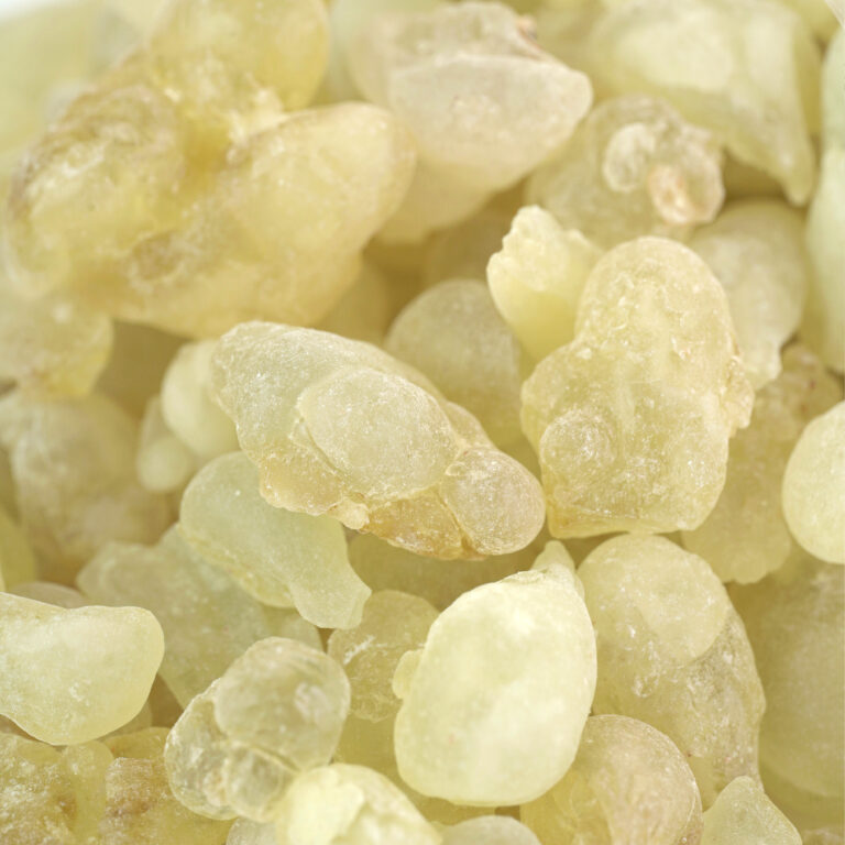 ⁦VIPلبان علاجي⁩ - الصورة ⁦4⁩