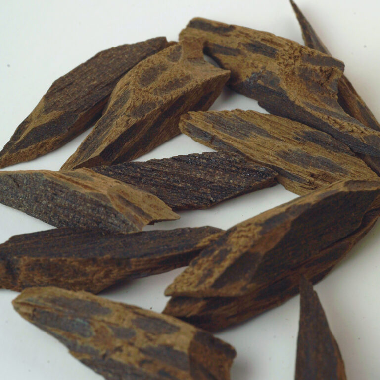 ⁦تولة عود تايجر⁩ - الصورة ⁦3⁩