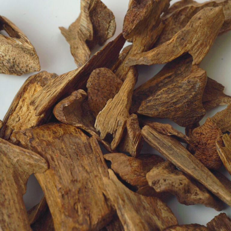 ⁦تولة عود ماونتين⁩ - الصورة ⁦3⁩